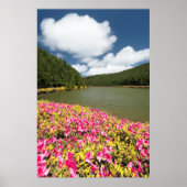 Empadadas Lakes, Azores Poster (Vorne)