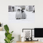 Emperor Penguin Chicks on Ice in Antarctica Poster (Heimbüro)
