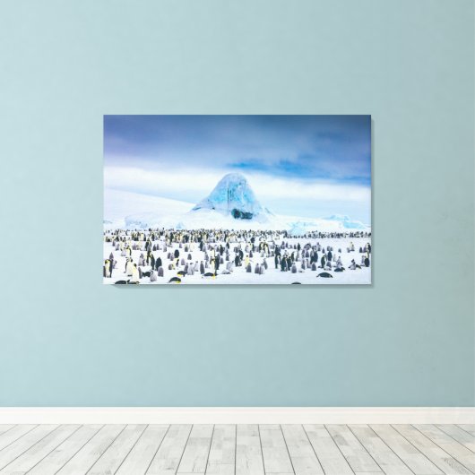 Emperor Penguin Colony Leinwanddruck (Insitu (Holzboden))