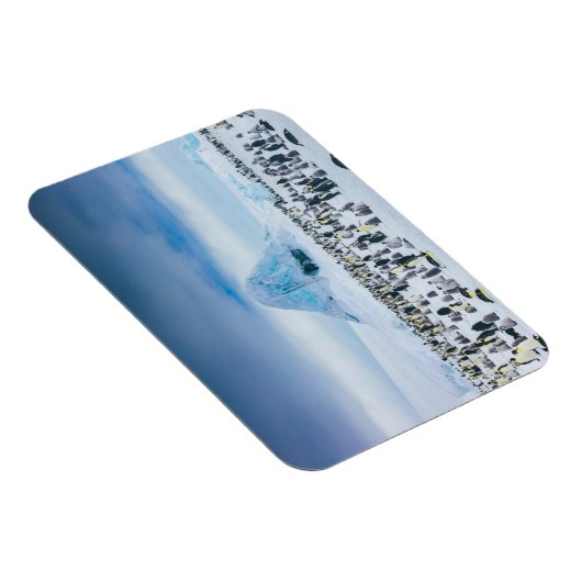 Emperor Penguin Colony Magnet (Rechte Seite)