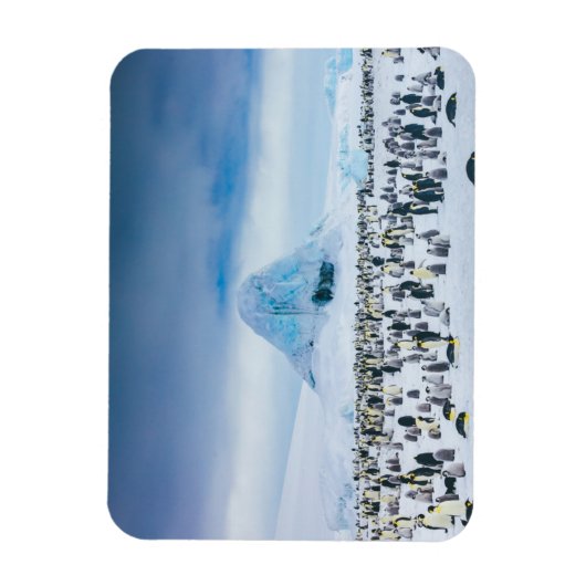 Emperor Penguin Colony Magnet (Vertikal)