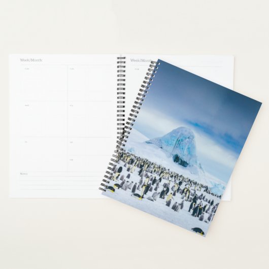 Emperor Penguin Colony Planer (Anzeige)