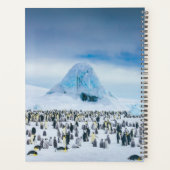 Emperor Penguin Colony Planer (Rückseite)