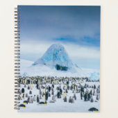 Emperor Penguin Colony Planer (Vorderseite)