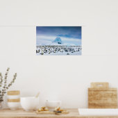 Emperor Penguin Colony Poster (Küche)