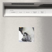 Emperor Penguin Snow Hill Island Magnet (In Situ (Geschirrspüler))