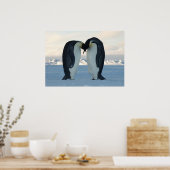 Emperor Penguins Kissing Poster (Küche)