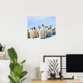 Emperor Pinguin Chicks Poster (Heimbüro)