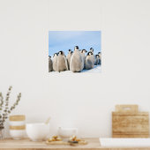 Emperor Pinguin Chicks Poster (Küche)