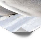 Emperor Pinguin Chicks Poster (Ecke)