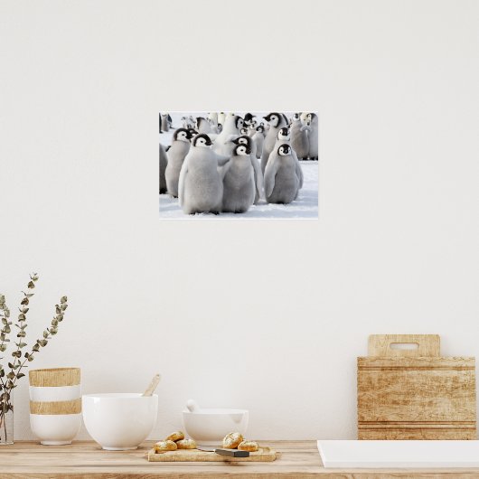 Emperor Pinguin Chicks Poster (Küche)