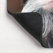 Emperor Tamarin Mousepad (Ecke)