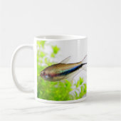 Emperor tetra kaffeetasse (Links)