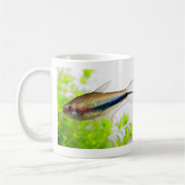 Emperor tetra kaffeetasse (Links)