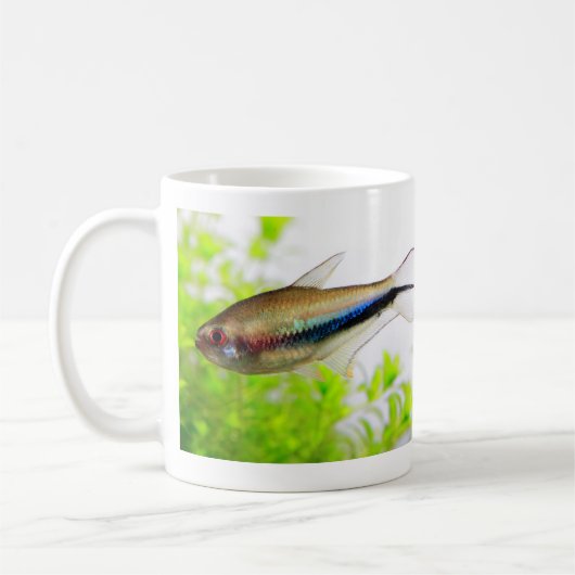 Emperor tetra kaffeetasse (Links)