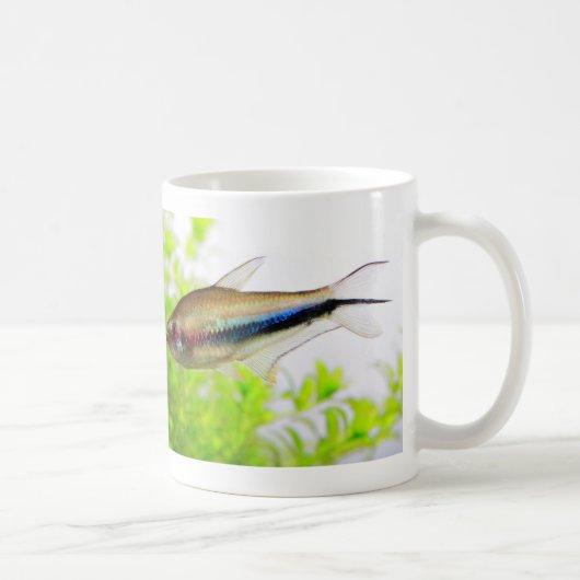 Emperor tetra kaffeetasse (Rechts)