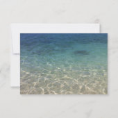 Empfang Beach Hochzeit Starfish & Sand Dollar Einladung (Rückseite)