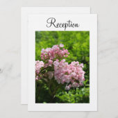 Empfang Einladung Pink Hochzeitsgebirge Laurel (Vorne/Hinten)