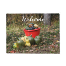 Empfang von Squash Country Garden Harvest