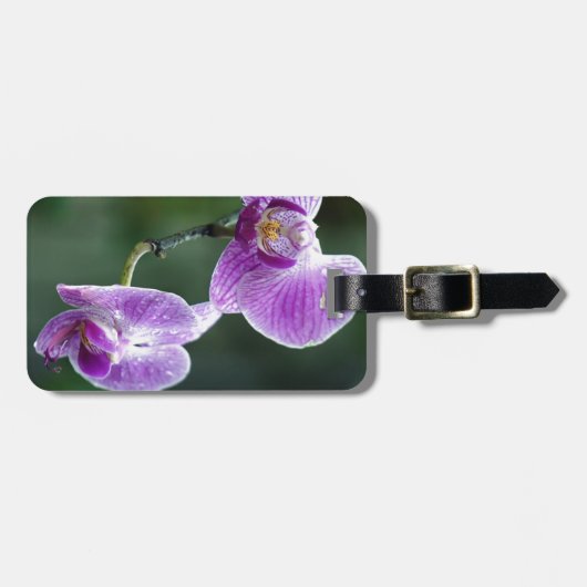 Empfindlich Gepäckanhänger (Vorderseite horizontal)