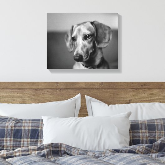 Empfindliche Dackel Leinwanddruck (Insitu (Schlafzimmer))