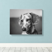 Empfindliche Dackel Leinwanddruck (Insitu (Holzboden))