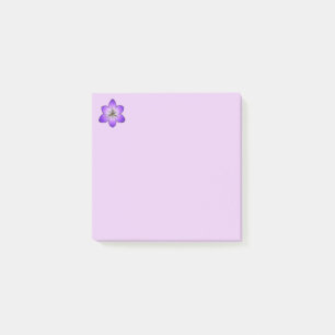 Empfindliche lila Krokus-Post-Itanmerkungen Post-it Klebezettel