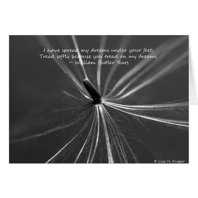 Empfindliche Träume am Boden (Vorderseite (Horizontal))