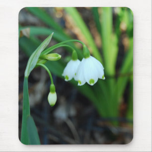 Empfindliche weiße Alleghany Spurge Blumen Mousepad
