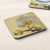 Empfindliche weiße Orchidee Untersetzer (Linke Seite)