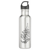Empfindlicher Farn Edelstahlflasche (Vorderseite)