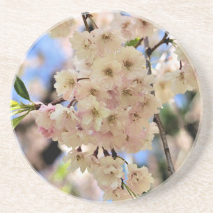 Empfindlicher Frühling blüht BlumenUntersetzer Getränkeuntersetzer