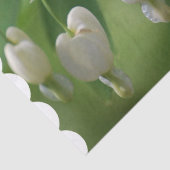 Empfindliches weißes blutendes Herz Seidenpapier (Ausschnitt)