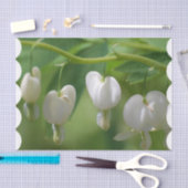 Empfindliches weißes blutendes Herz Seidenpapier (Handwerk)