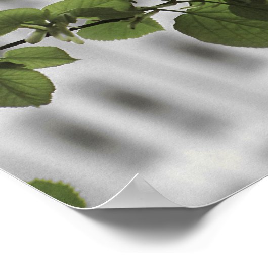 Empire State in New York Poster (Ecke)