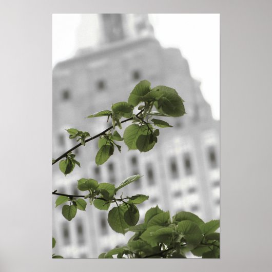 Empire State in New York Poster (Vorne)