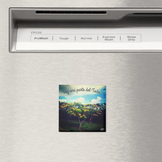 Empoderamiento Magnet (In Situ (Geschirrspüler))