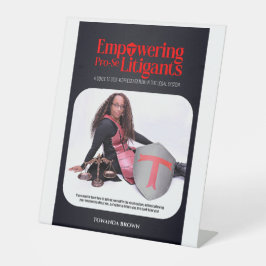 Empowering Pro-Se Litigants Banner Sockelschild