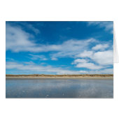 Empty Beach (Vorderseite (Horizontal))