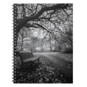 Empty Bench Twisted Trees Path Notebook Notizblock