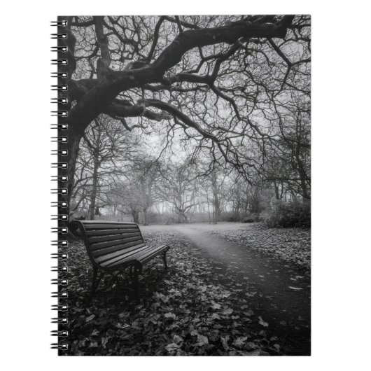 Empty Bench Twisted Trees Path Notebook Notizblock (Vorderseite)