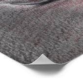 Empty Cage Anatomie Horror Original Art Poster (Ecke)