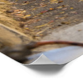 Empty Narrow Street, Frankreich Poster (Ecke)