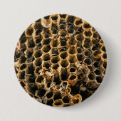 Empty Nest Button (Vorderseite)