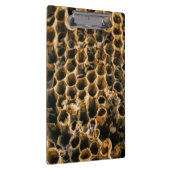 Empty Nest Klemmbrett (Rechts)