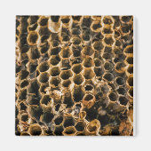 Empty Nest Magnet (Vorne)