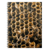 Empty Nest Notizblock (Vorderseite)