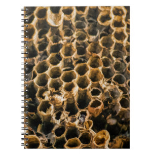 Empty Nest Notizblock