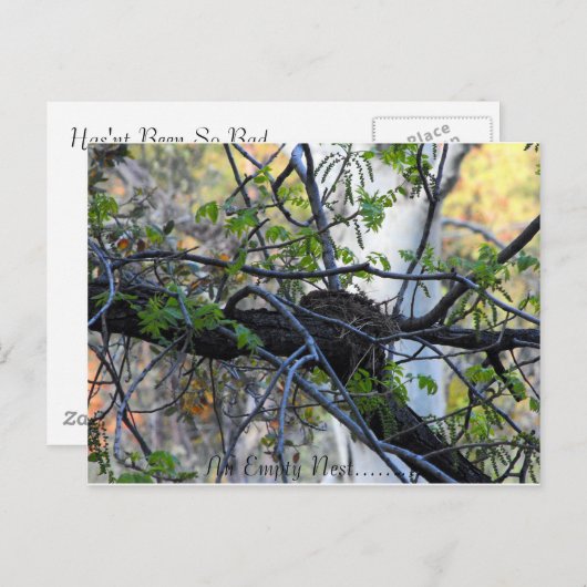 Empty Nest Postcard Postkarte (Vorne/Hinten)