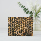 Empty Nest Postkarte (Stehend Vorderseite)